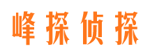 太谷市调查公司